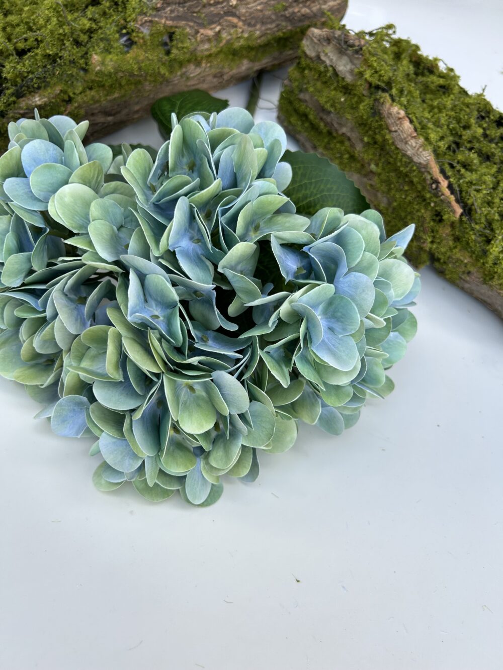 Гортензія королівська зелена - Зображення 3