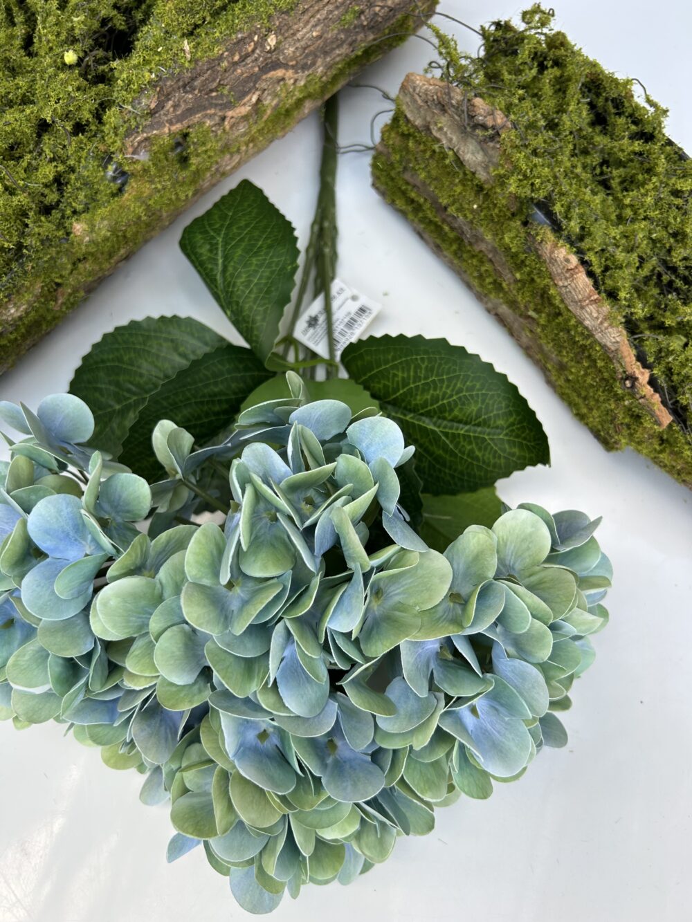 Гортензія королівська зелена - Зображення 2