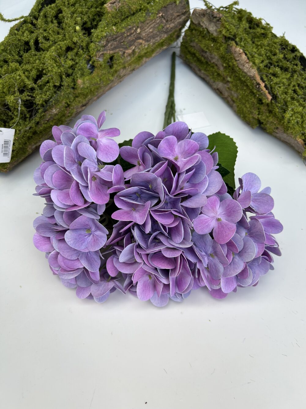 Гортензія королівська фіалкова