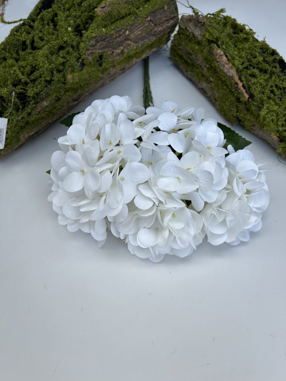 Гортензія короліваська білосніжна