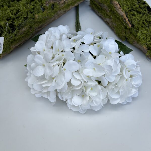 Гортензія короліваська білосніжна