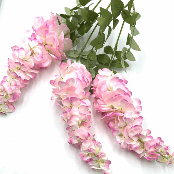 Гліцінія рожева