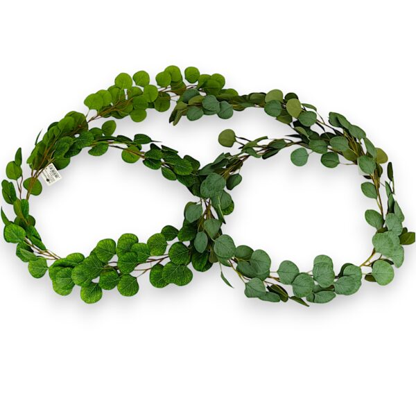 Евкаліпт ліана