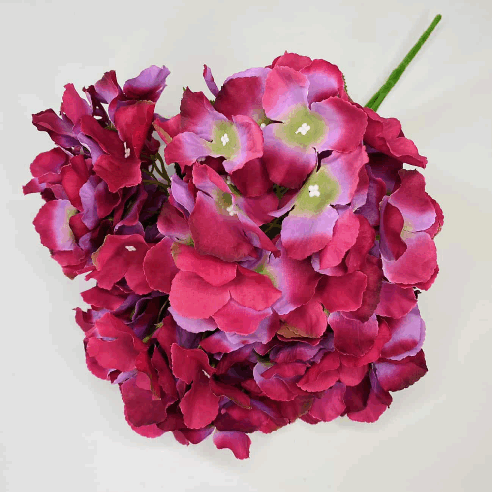 Гортензія букетна мікс