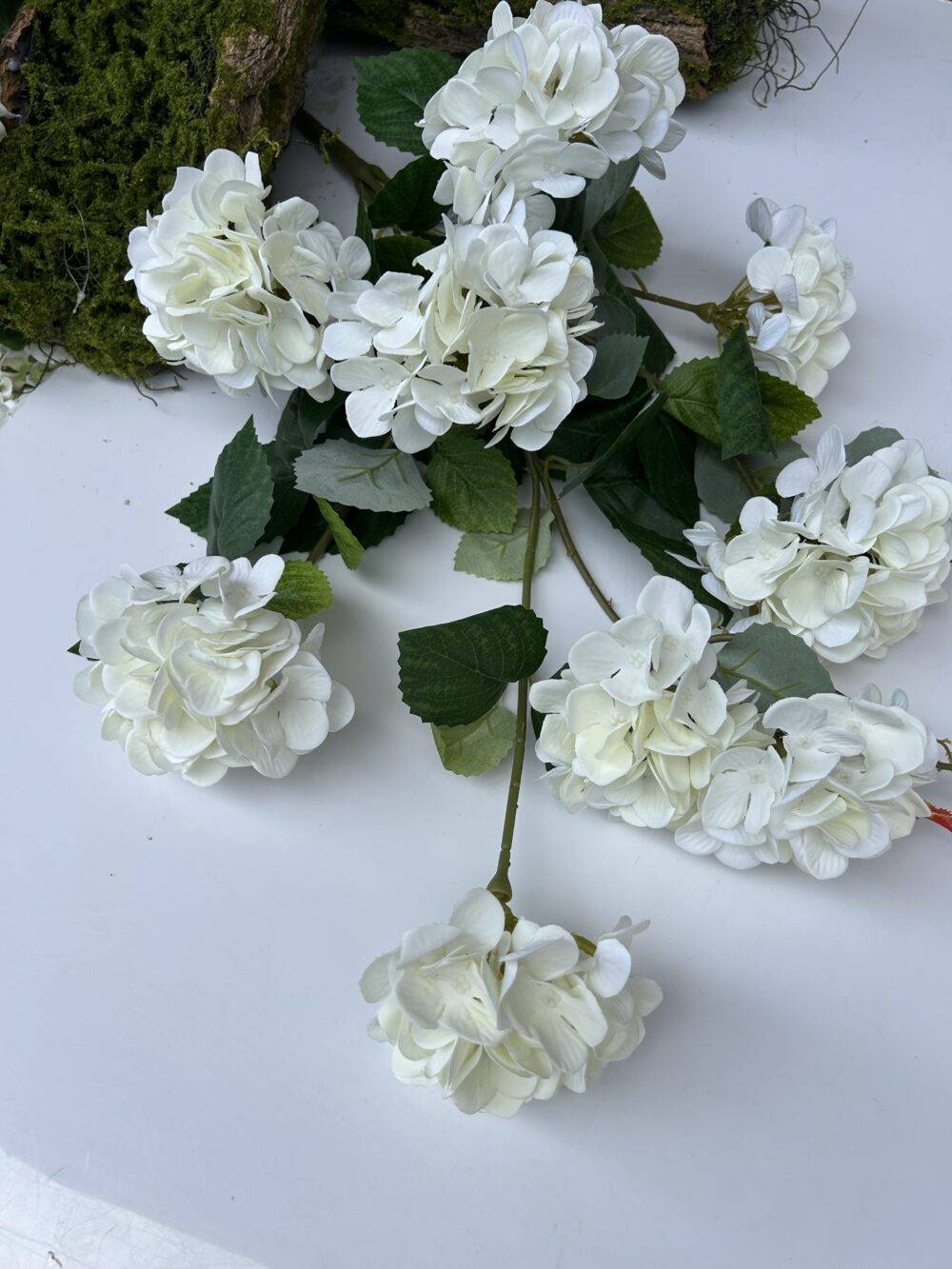 Гортензія каскадна - Зображення 2