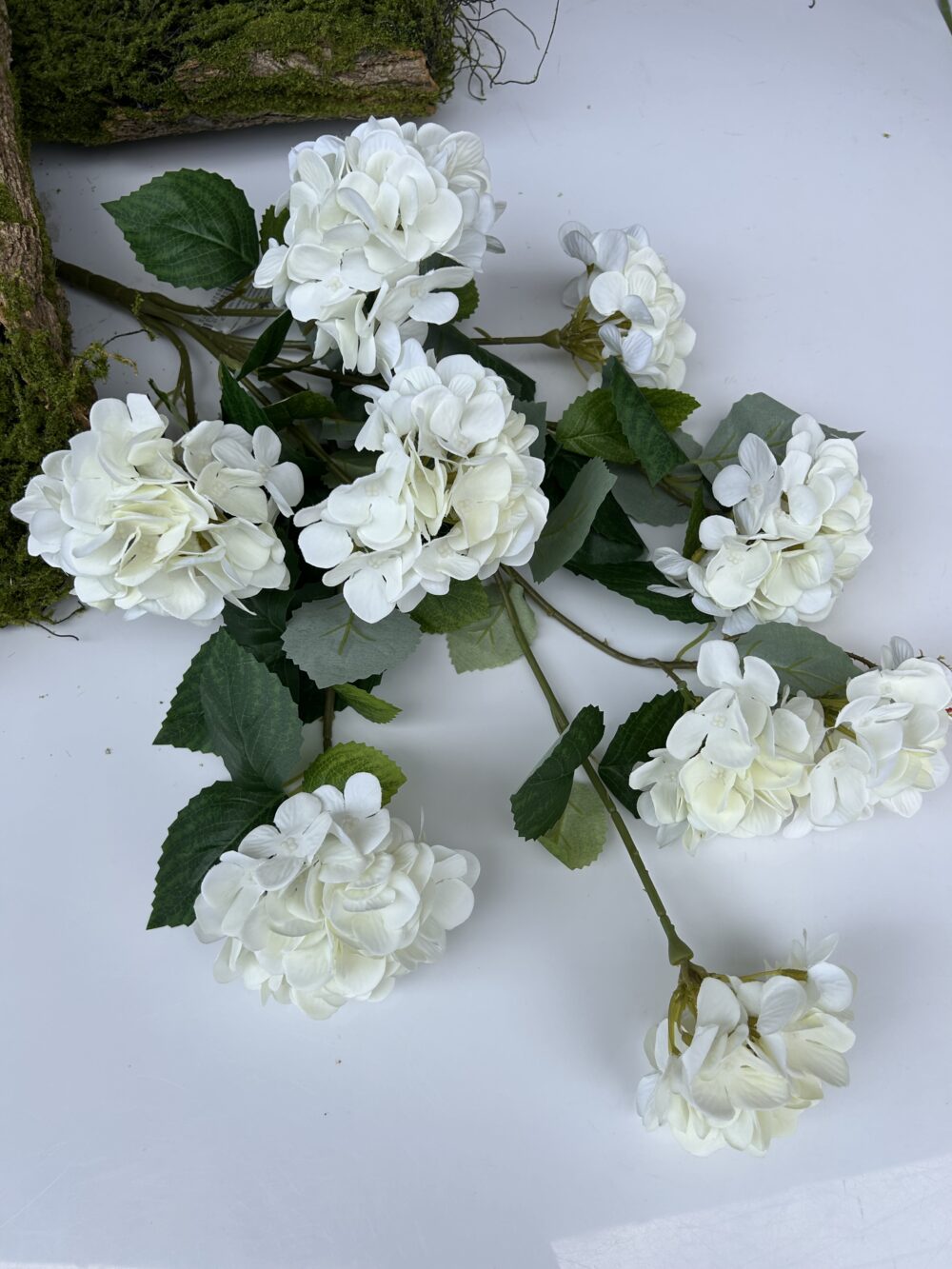 Гортензія каскадна