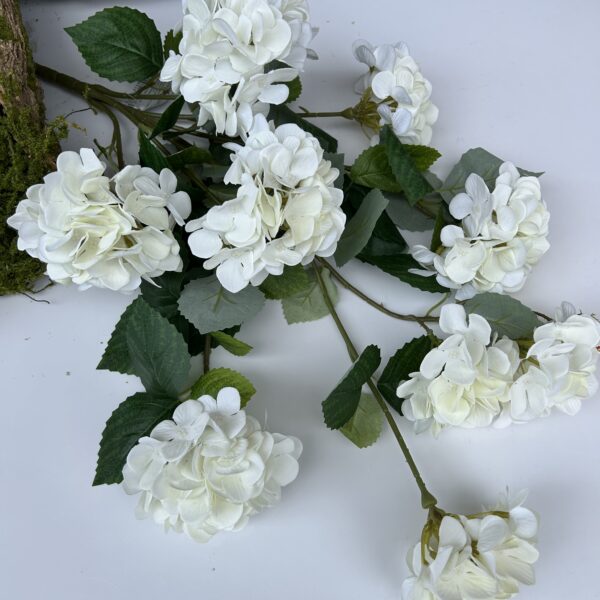 Гортензія каскадна