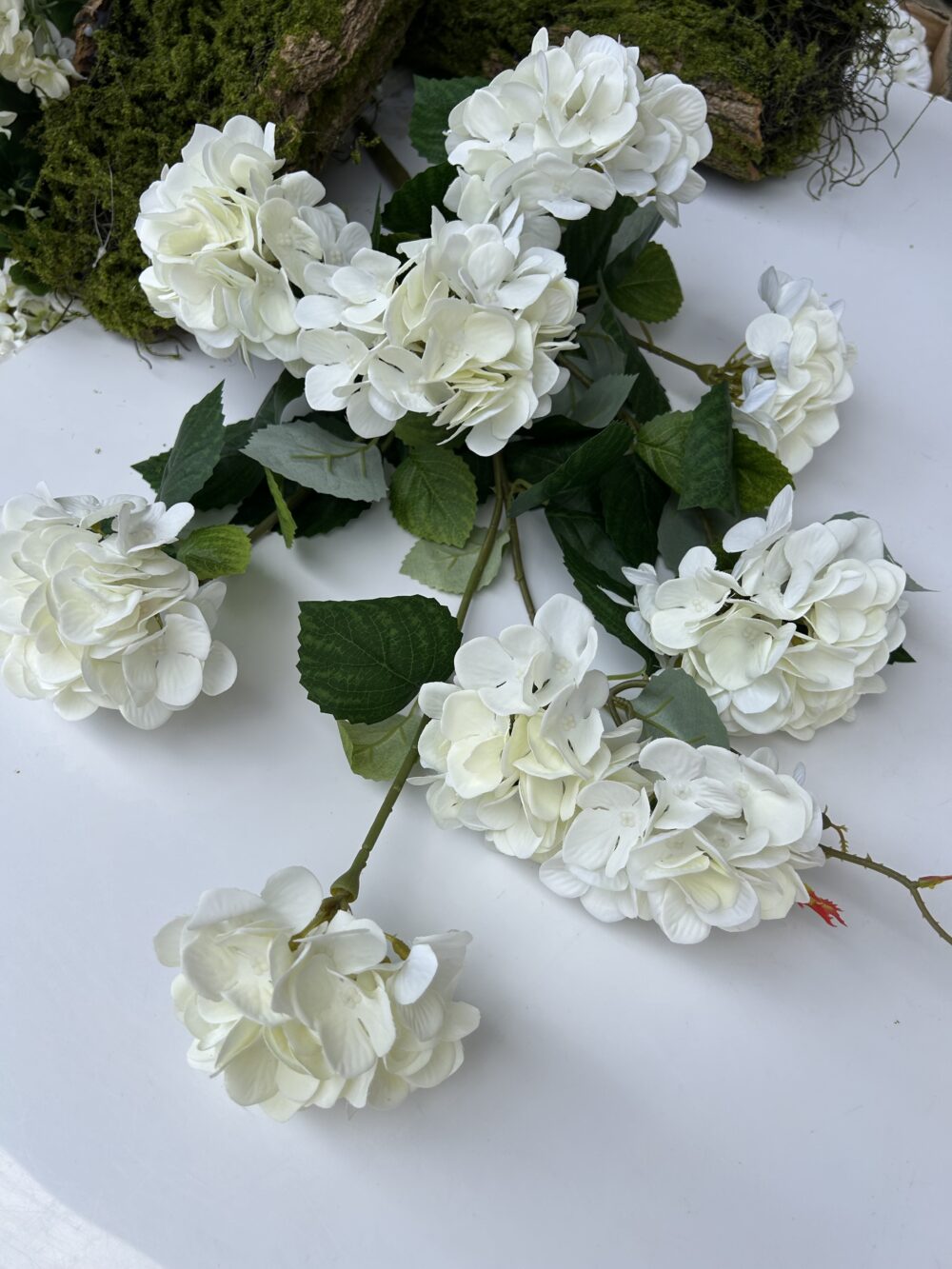 Гортензія каскадна - Зображення 3