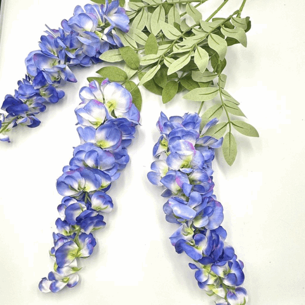 Гліцінія фіалкова