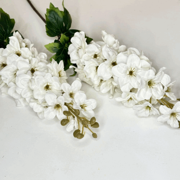 Дельфініум білий