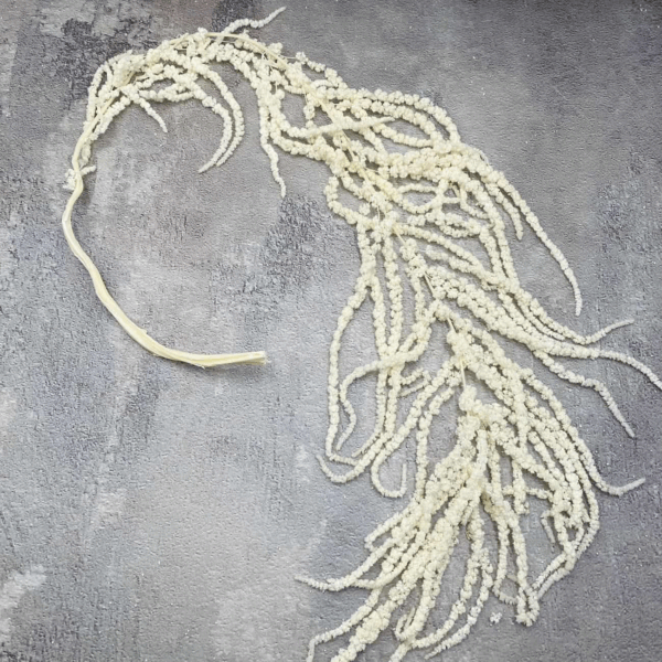 Амарант стабілізований білий