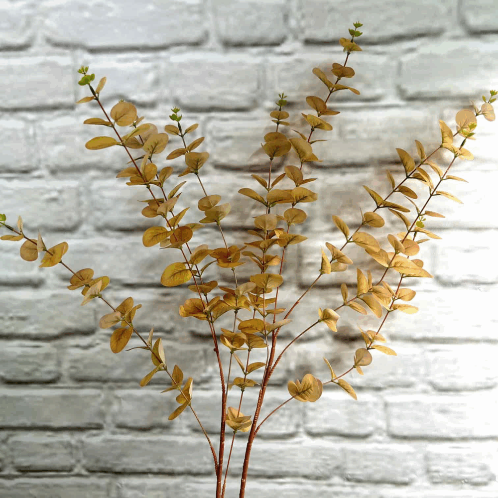 Евкаліпт гелевий високий