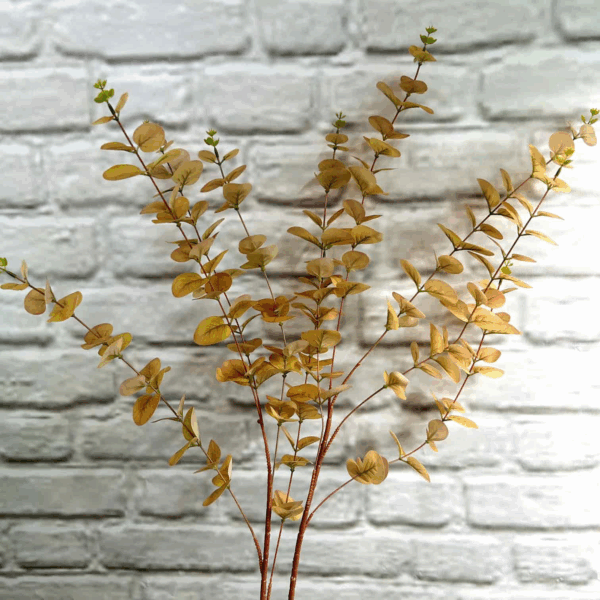 Евкаліпт гелевий високий