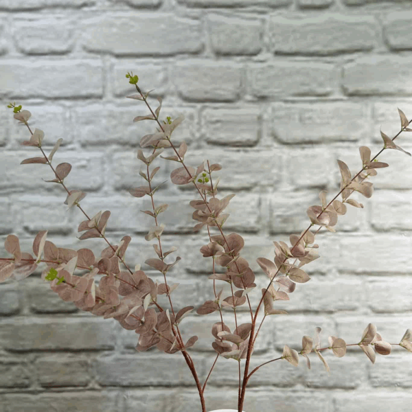 Евакаліпт гелевий високий