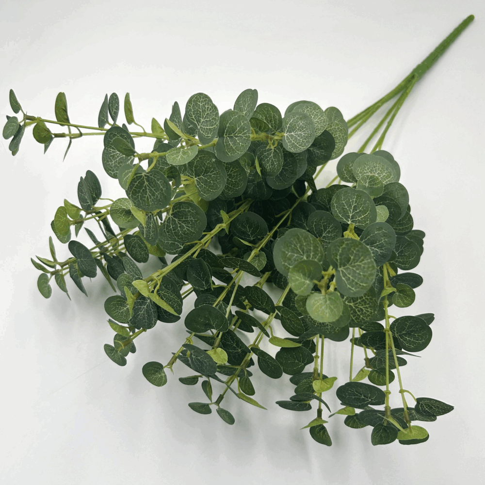 Кущ міні евкаліпт