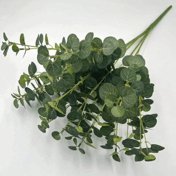 Кущ міні евкаліпт