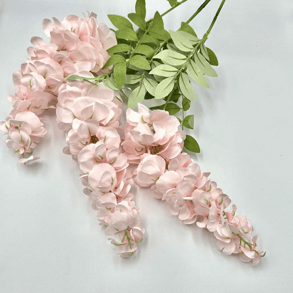 Гліцінія ніжно-рожева