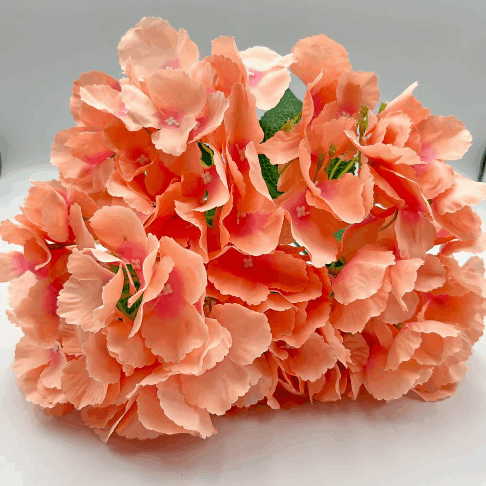 Гортензія букетна персик