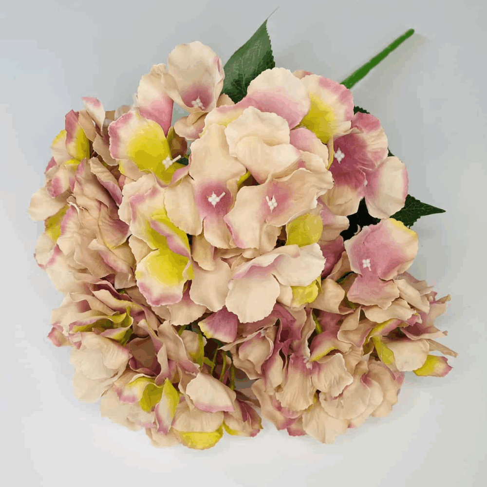 Гортензія букетна мікс