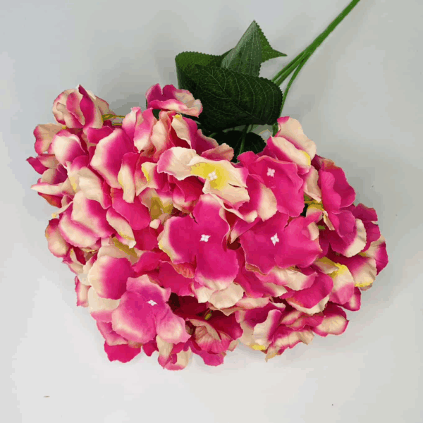 Гортензія букетна малина