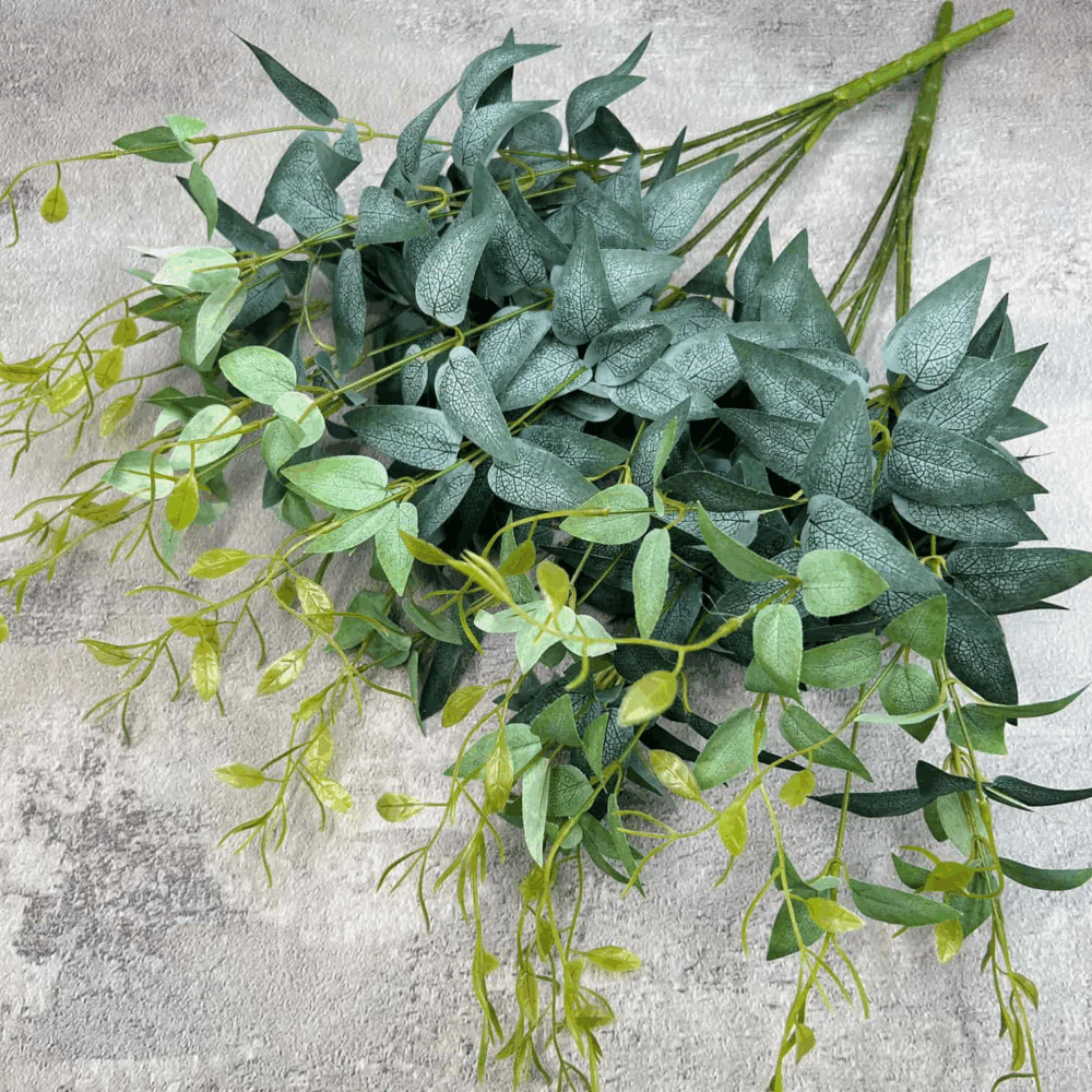 Рускус кущовий