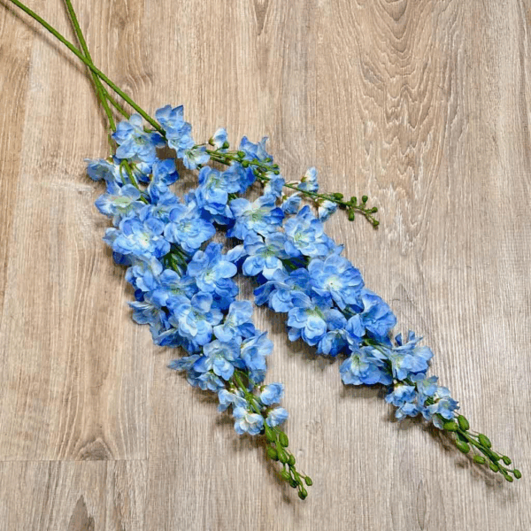 Дельфініум голубий