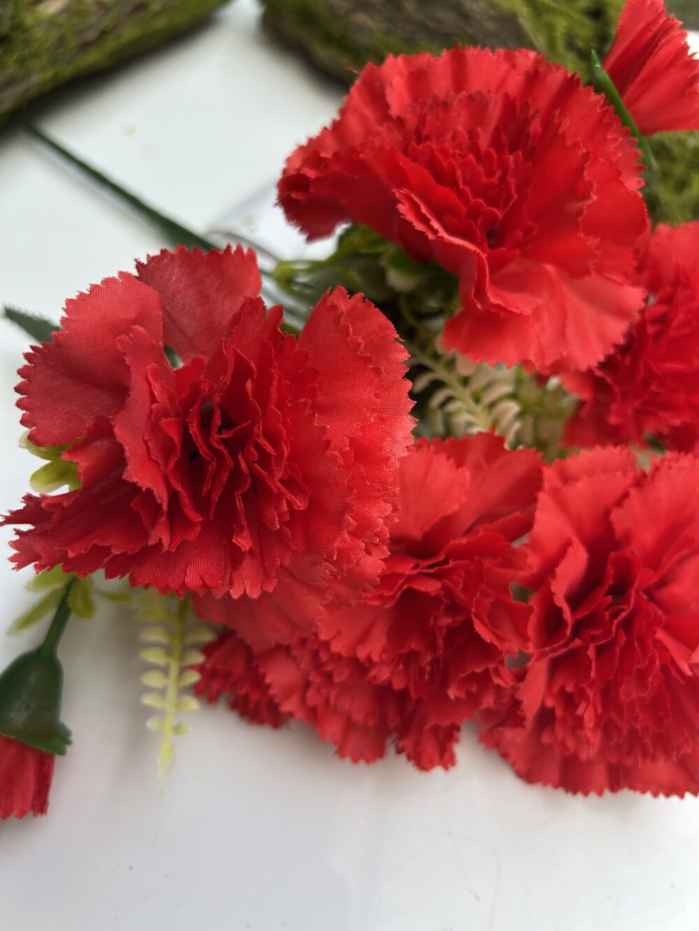 Гвоздика червона - Зображення 3