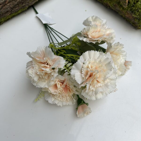 Гвоздика шампань