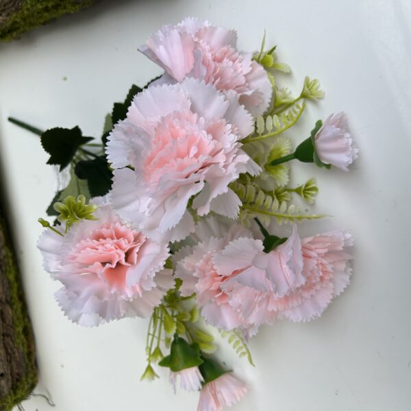 Гвоздика рожева