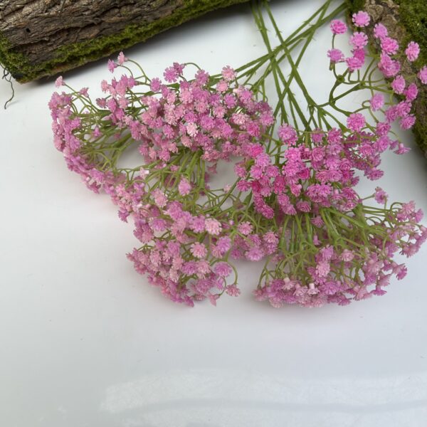 Гіпсофіла рожеваа