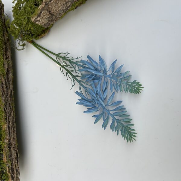 Гілка кактуса синя