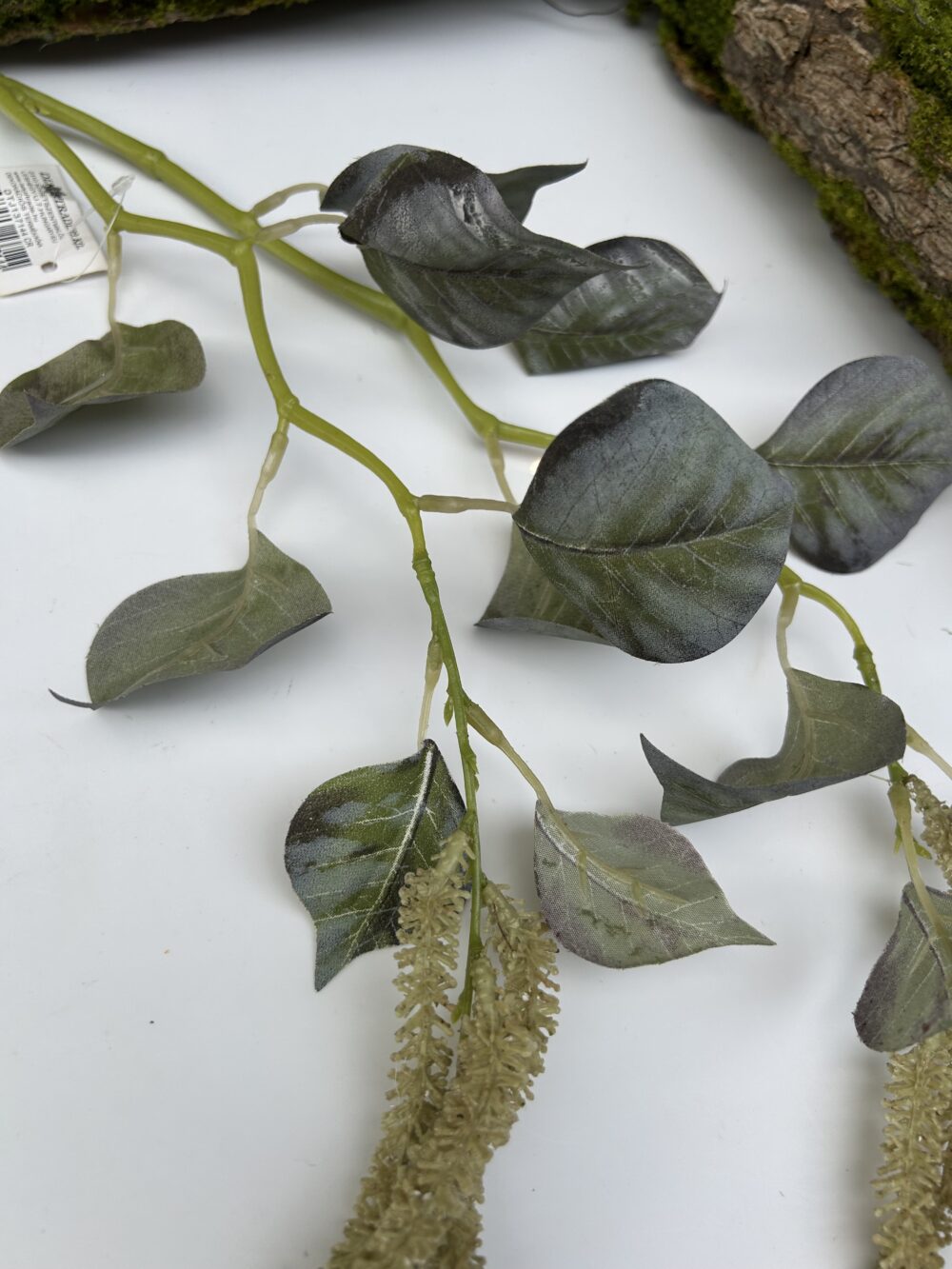 Берізка - Зображення 2