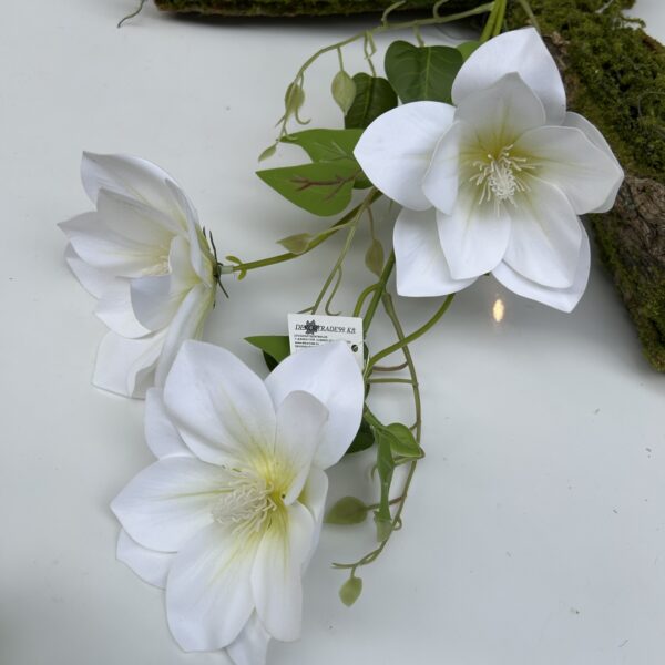 Клематіс гелевий