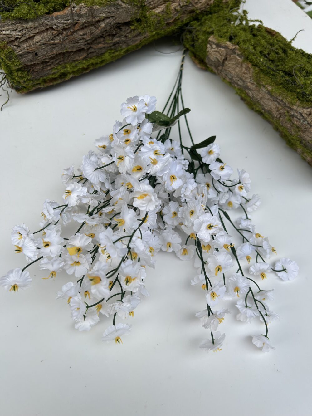 Незабутка біла