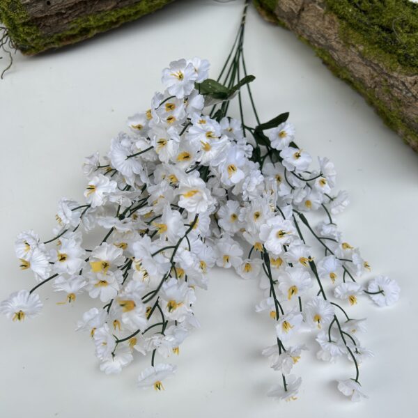 Незабутка біла