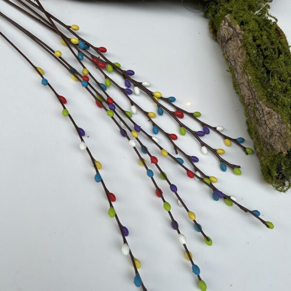 Вербова гілка