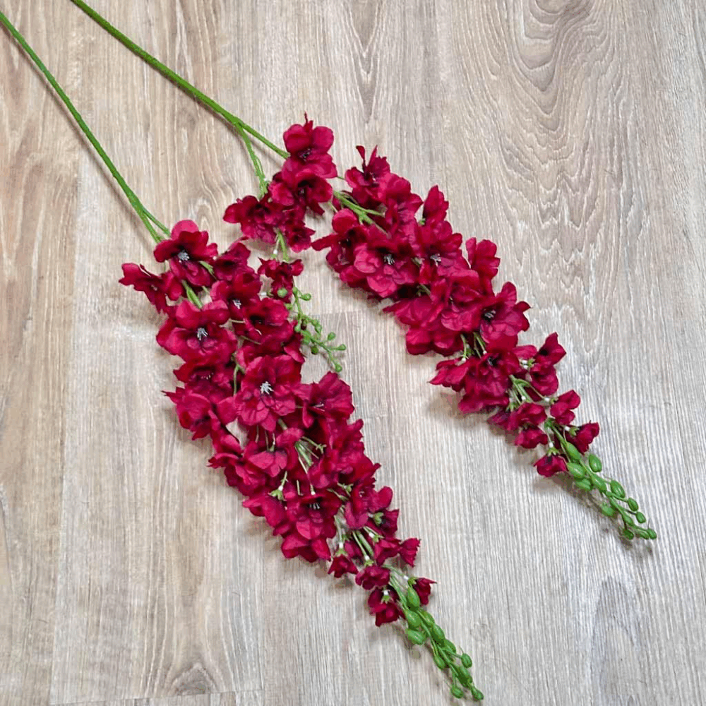 Дельфініум червоний