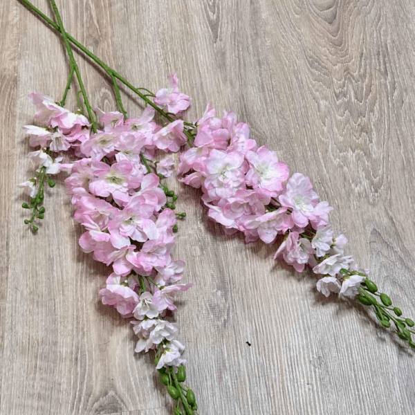 Дельфініум рожевий