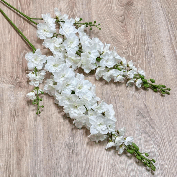 Дельфініум білий