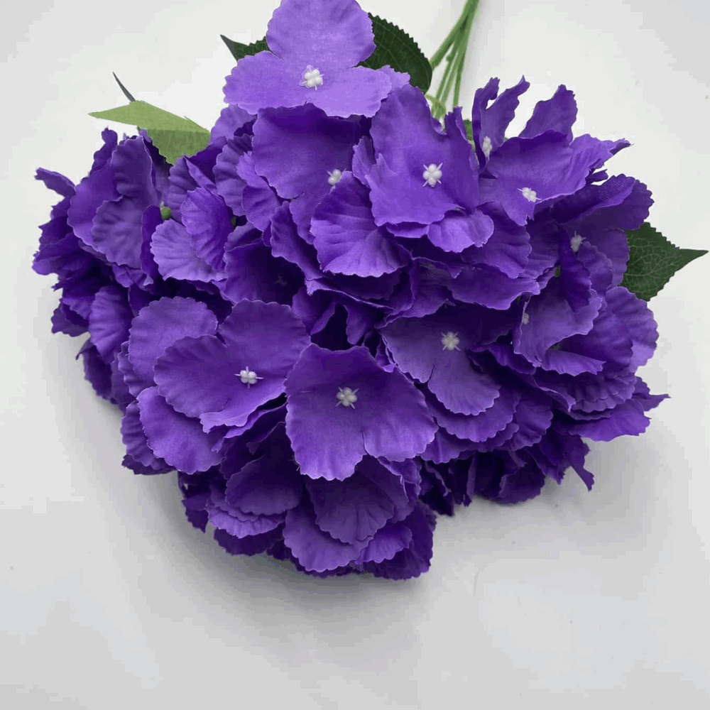 Гортензія букетна фіалка темна