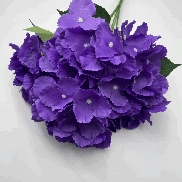 Гортензія букетна фіалка темна