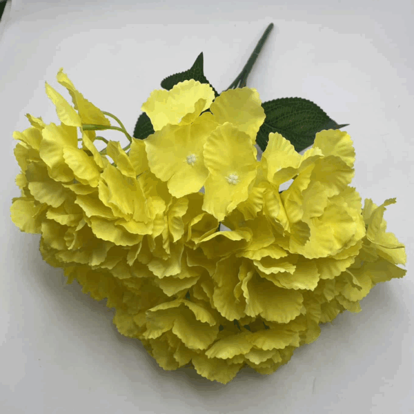 Гортензія букетна сонячна