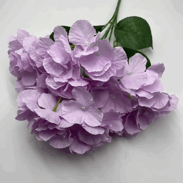 Гортензія букетна бузкова