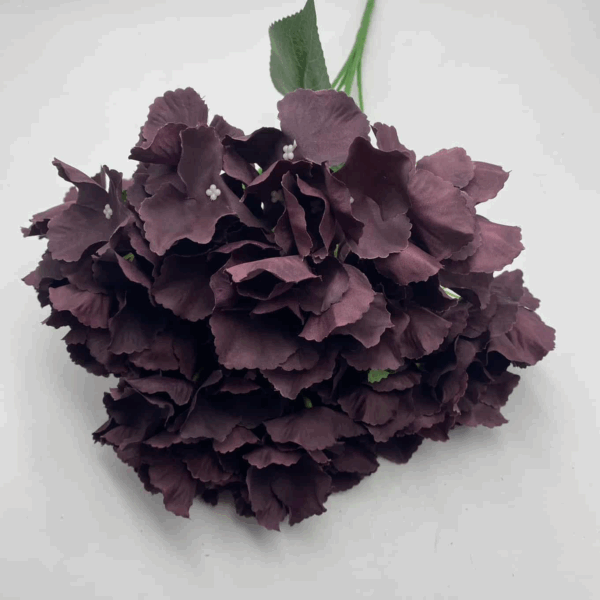 Гортензія букетна виноградна