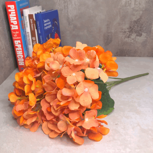Гортензія букетна помаранч