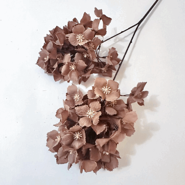 Гортензія кущова капучіно