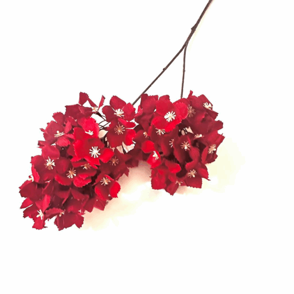 Гортензія кущова марсал