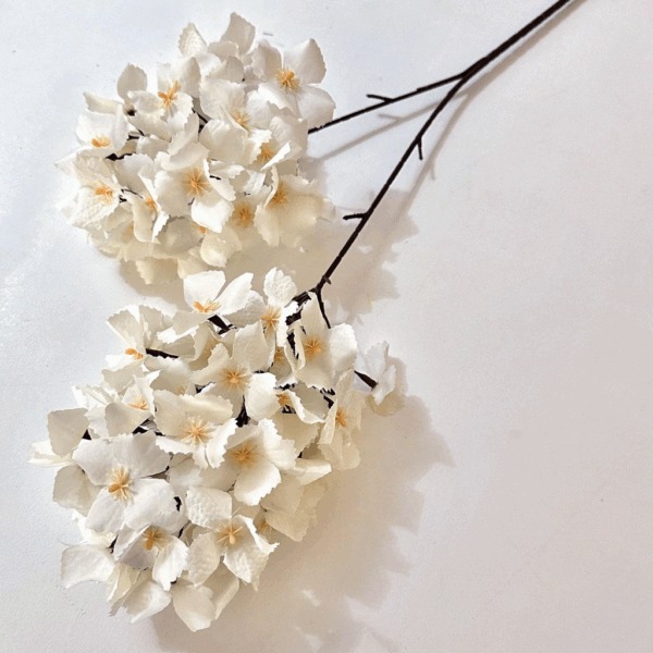 Гортензія кущова крем