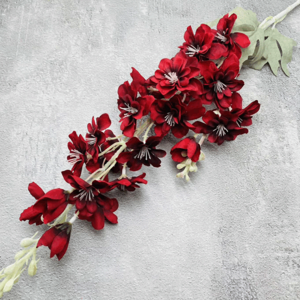 Дельфініум бордо