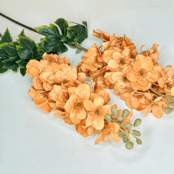 Дельфініум помаранч